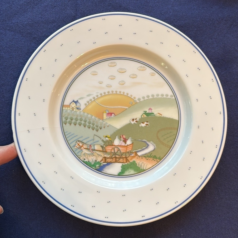 👨‍🌾 STUDIO NOVA ROLLING HILLS SINGLE PLACE SETTING W/ CHIPPED SALAD PLATE - Picture 5 of 8